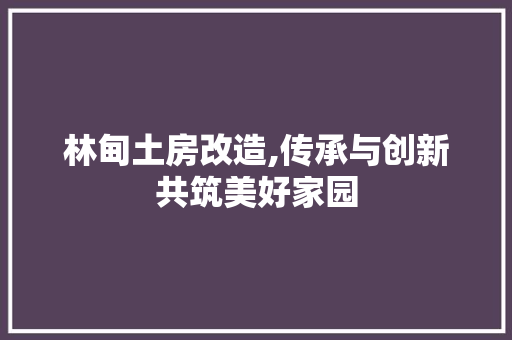 林甸土房改造,传承与创新共筑美好家园