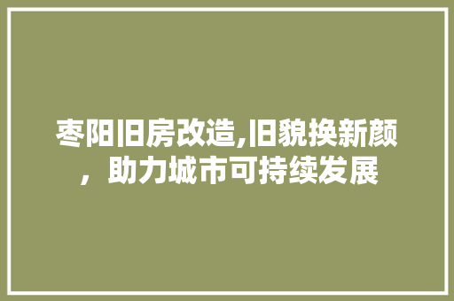 枣阳旧房改造,旧貌换新颜，助力城市可持续发展