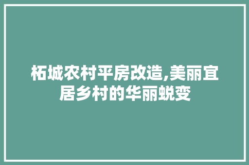 柘城农村平房改造,美丽宜居乡村的华丽蜕变 建筑设计