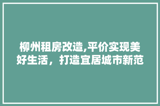 柳州租房改造,平价实现美好生活，打造宜居城市新范本