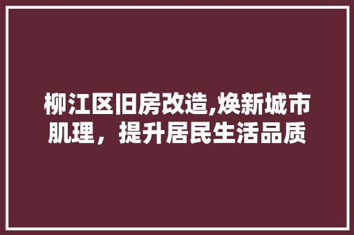柳江区旧房改造,焕新城市肌理，提升居民生活品质