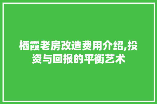 栖霞老房改造费用介绍,投资与回报的平衡艺术