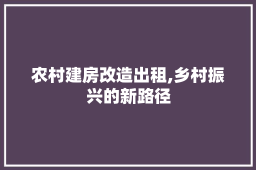 农村建房改造出租,乡村振兴的新路径