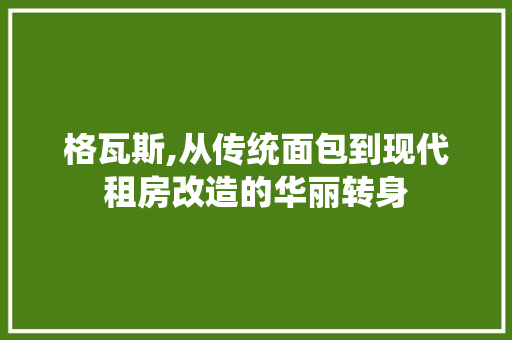 格瓦斯,从传统面包到现代租房改造的华丽转身