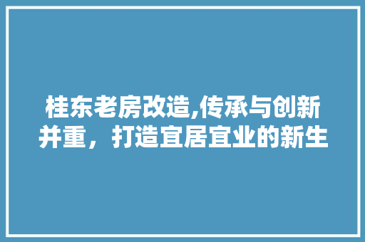 桂东老房改造,传承与创新并重，打造宜居宜业的新生活空间
