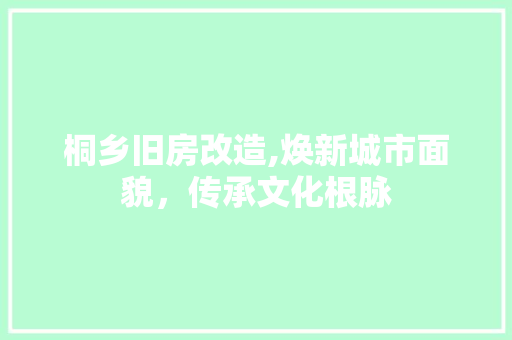 桐乡旧房改造,焕新城市面貌，传承文化根脉