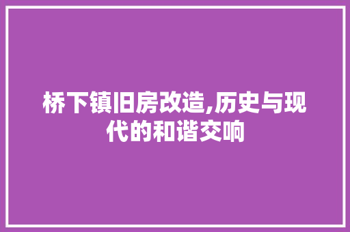 桥下镇旧房改造,历史与现代的和谐交响