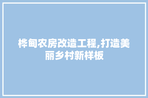 桦甸农房改造工程,打造美丽乡村新样板 墙面装饰