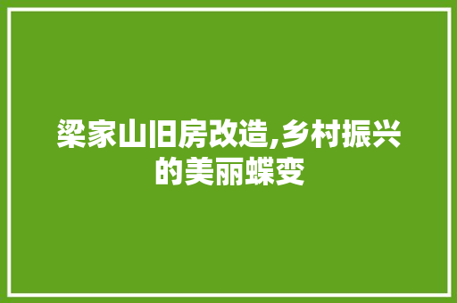 梁家山旧房改造,乡村振兴的美丽蝶变 地面装修
