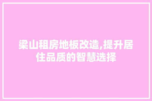 梁山租房地板改造,提升居住品质的智慧选择