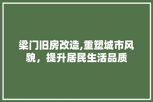梁门旧房改造,重塑城市风貌，提升居民生活品质 墙面装饰
