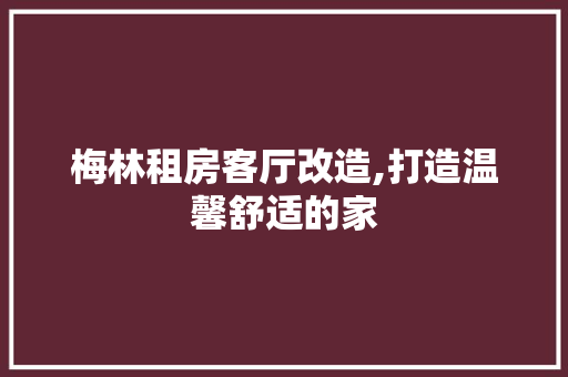 梅林租房客厅改造,打造温馨舒适的家