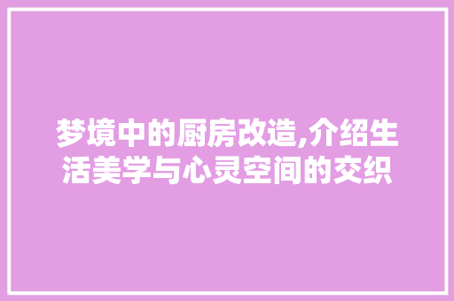 梦境中的厨房改造,介绍生活美学与心灵空间的交织