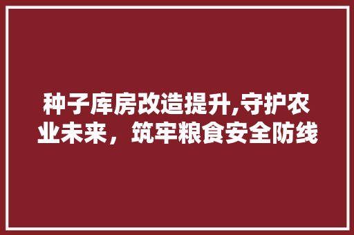 种子库房改造提升,守护农业未来，筑牢粮食安全防线