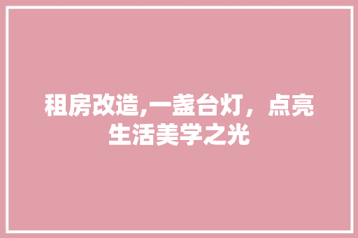 租房改造,一盏台灯，点亮生活美学之光
