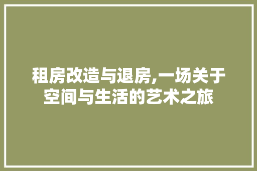租房改造与退房,一场关于空间与生活的艺术之旅