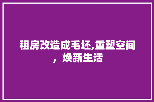 租房改造成毛坯,重塑空间，焕新生活