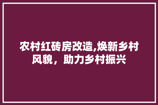 农村红砖房改造,焕新乡村风貌，助力乡村振兴