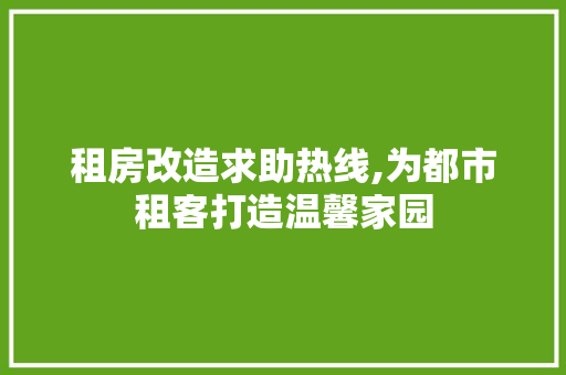租房改造求助热线,为都市租客打造温馨家园
