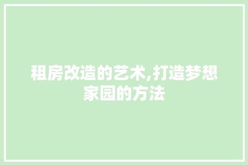 租房改造的艺术,打造梦想家园的方法