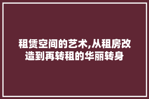 租赁空间的艺术,从租房改造到再转租的华丽转身
