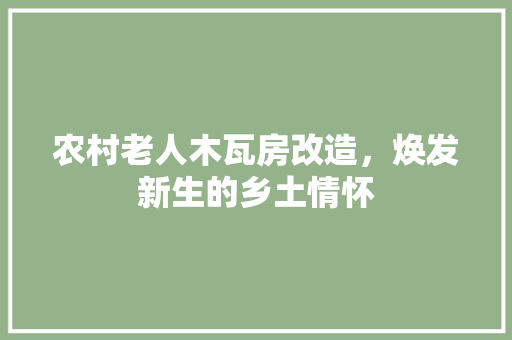 农村老人木瓦房改造，焕发新生的乡土情怀