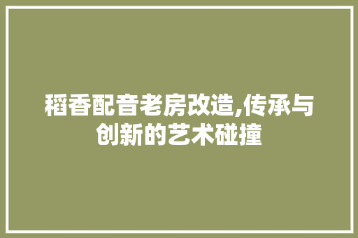 稻香配音老房改造,传承与创新的艺术碰撞
