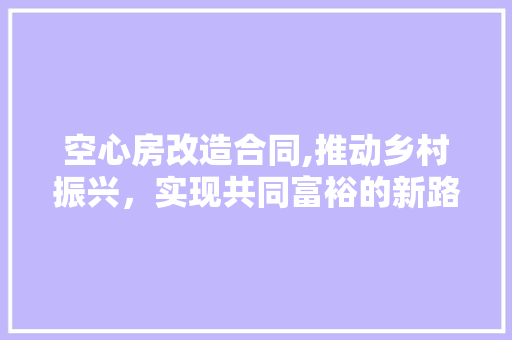 空心房改造合同,推动乡村振兴，实现共同富裕的新路径 装修攻略