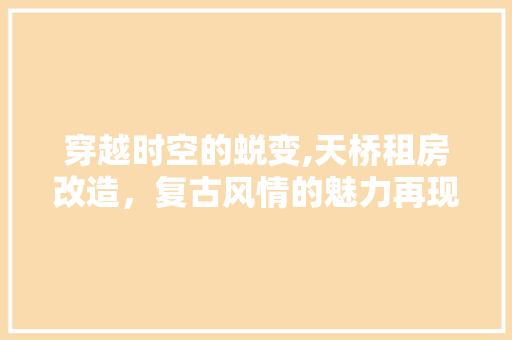 穿越时空的蜕变,天桥租房改造，复古风情的魅力再现 墙面装饰