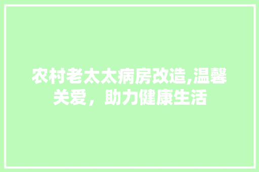 农村老太太病房改造,温馨关爱，助力健康生活