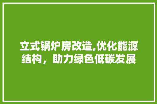 立式锅炉房改造,优化能源结构，助力绿色低碳发展