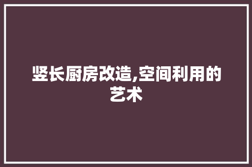 竖长厨房改造,空间利用的艺术