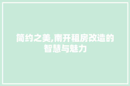 简约之美,南开租房改造的智慧与魅力 隔断设计