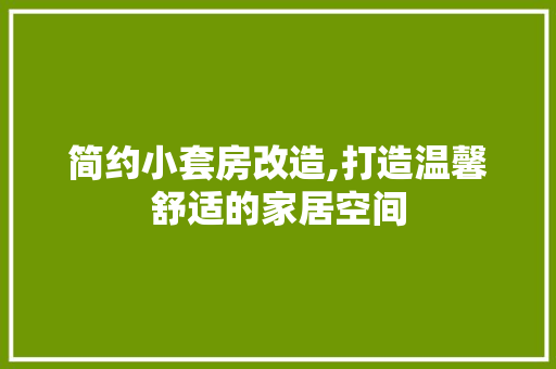 简约小套房改造,打造温馨舒适的家居空间