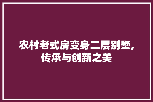 农村老式房变身二层别墅,传承与创新之美