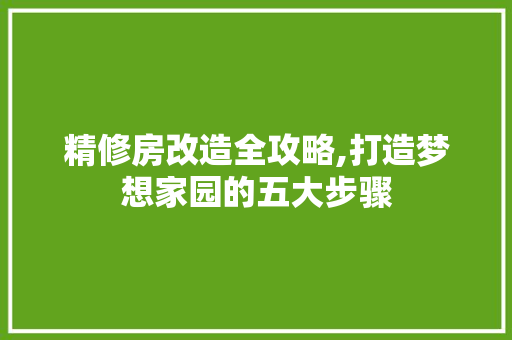 精修房改造全攻略,打造梦想家园的五大步骤