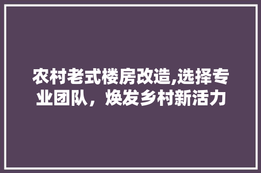 农村老式楼房改造,选择专业团队，焕发乡村新活力