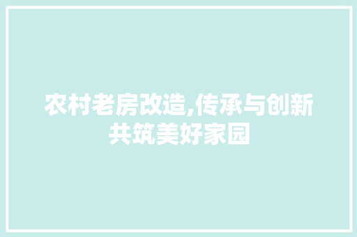 农村老房改造,传承与创新共筑美好家园