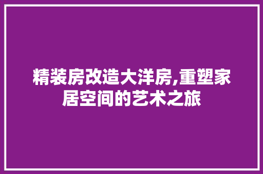 精装房改造大洋房,重塑家居空间的艺术之旅