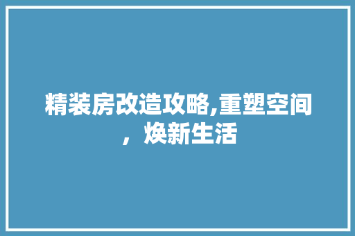 精装房改造攻略,重塑空间，焕新生活