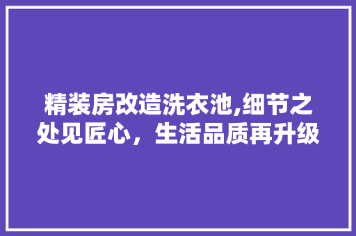 精装房改造洗衣池,细节之处见匠心，生活品质再升级