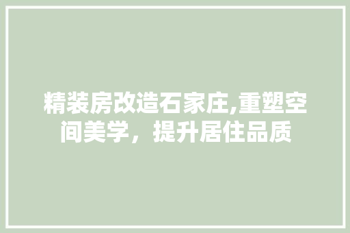 精装房改造石家庄,重塑空间美学，提升居住品质