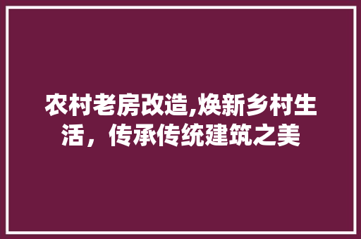 农村老房改造,焕新乡村生活，传承传统建筑之美