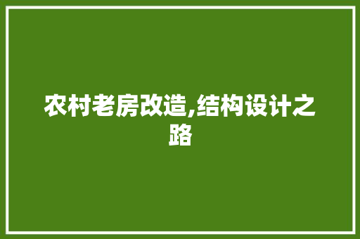 农村老房改造,结构设计之路