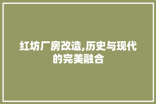红坊厂房改造,历史与现代的完美融合