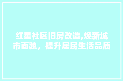 红星社区旧房改造,焕新城市面貌，提升居民生活品质 装修攻略