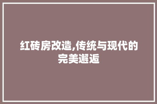 红砖房改造,传统与现代的完美邂逅