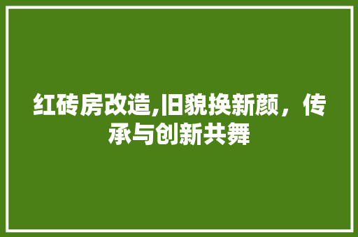 红砖房改造,旧貌换新颜，传承与创新共舞 墙面装饰