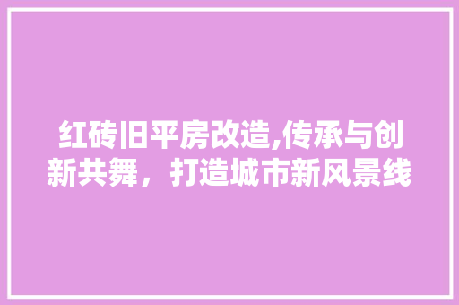 红砖旧平房改造,传承与创新共舞，打造城市新风景线