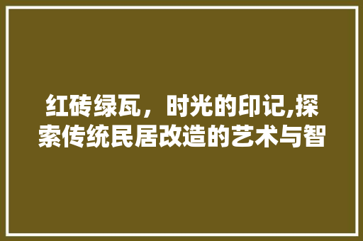 红砖绿瓦，时光的印记,探索传统民居改造的艺术与智慧